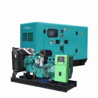 Professional Power Solutions 30-2200kw Diesel Generator Set