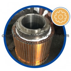 High Quality Beryllium Copper Commutator with Steel Bush and V-Ring图1