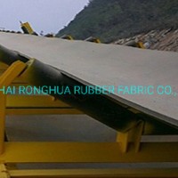 Hot Sale Quality Nn/High Temperature/Fire Resistant Rubber Conveyor Belt