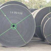 Moulded Edge Nn100-Nn600 Nylon Conveyor Belt