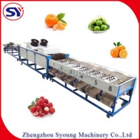 Best Price Fruit Sorting Table Machine for Grading Apple Peach