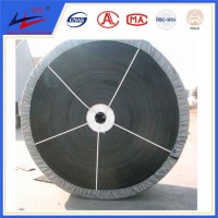 Best Selling Nylon Polyurethane Conveyor Belt on Hot Sale