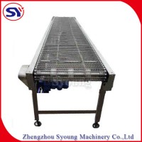 2020 China Supplier Horizontal Stainless Steel Wire Mesh Belt Conveyor for Fish Seafood