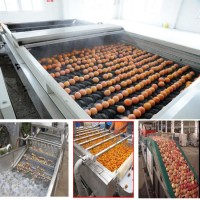 Customized High Pressure Vegetables Washing Machine