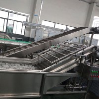 OEM Cleaning Machine Vegetable Fruit Washing Machine