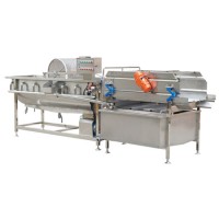 Ozone Fruit and Vegetable Cleaning Washer Washing Machine Machinery