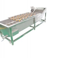 High Quality Fruit Vegetable Washing Processing Machine