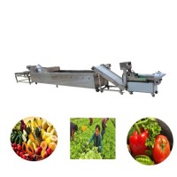 Chinese Suppliers Multifunctional Fruit Vegetable Washing and Drying Machines