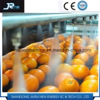 Stainless Steel 304 High Pressure Bubble Industrial Vegetable and Fruit Cleaning Machine