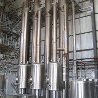 Double-Effect Forced Circulation Evaporator for Fruit Jam