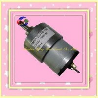 Hot Sale 37mm DC Gear Reduction Motor From Nina