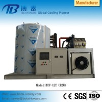 Premium Quality Block/Cube/Tube/Flake Ice Machine with 10 Tons Daily Output