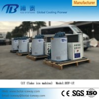 Factory Suply High Quality Mini Size 1t Flake Ice Machine for Commercial Using