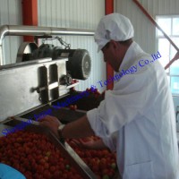 Tomato Sauce Packing Line/Tomato Paste Filling Line/ Tomato Paste Dilution Equipment/ Tomato Paste M