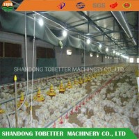 Ce Floor Feeding Line Chicken Farm Equipment Factory Price Feeding