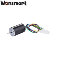 28mm DC Brushless Motor