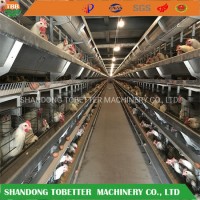 Automatic Battery Layer Cage Egg Chicken House Chicken Cage Poultry Equipment