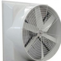 Fb Series Good Quality FRP Fan/Animal Husbandry Equipment/Poultry Farm Equipment Fiber Glass Fan wit