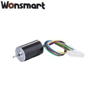 Micro DC Motor 24 V 10W Fan Motor