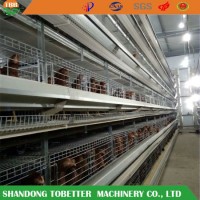 Ce Broiler Chicken Cage Hot Galvanized 1050 Model/Automatic Chicken Cage