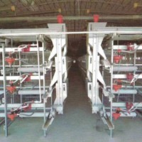 Hot Galvanized Automatic Chicken Farm Poultry Battery Cage System/Battery Layer Poultry Cage for Bro