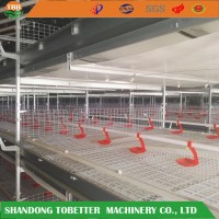 Ce Net Customized High Quality Feeding Cage for Ducks