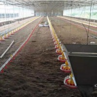 Chicken Feeder Line Automatic Feeding System Feeding Pan Poultry Equipment