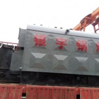 10 Ton Customized Durable Industrial Coal Fired Heater Steam Boiler Cost with Good Quality