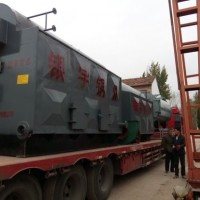 2 Ton Single Drum Automatic Feeding Solid Fuel Biomass Coal Steam Boiler