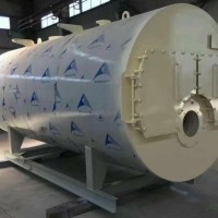 Wns Horizontal Triple-Pass Fire-Tube Oil Gas Steam Boiler