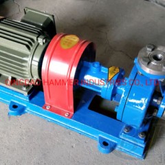 Thermal Oil Pump for Thermal Oil Boiler图1