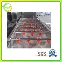 Fruit and Vegetable Washing Processing Machine Line