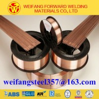 OEM Golden Welding Consumables Er70s-6 0.8mm Sg2 Copper Solid Solder/ MIG Welding Wire with CO2 Gas 