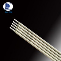 China Supplier Welding Electrodes E6013 Cheap Price E6013 Price