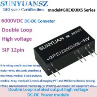 6kvd Double Loop Isolated Output High Voltage DC/DC Power Module for Medical Blood Analysis and Nucl