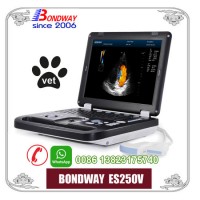 3D 4D Veterinary Diagnostic Ultrasonic Imaging System  Ideal for Veterinary Service Center  Vet Clin