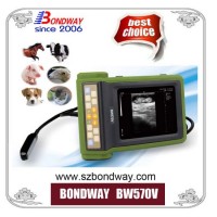 Veterinary Ultrasound Scanner  Ultrasound Machinefor Equine  Bovine  Swine  Canine  Feline  Horse  C