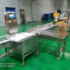 Checkweigher for Food Industry Less Than 30kg图1