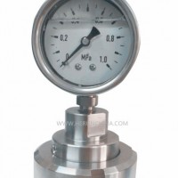 Diaphragm Seal Systems with Pressure Gauge