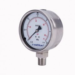 Stainless Steel Pressure Gauge图1