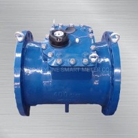 Woltman Water Meter (Mod. WDE)