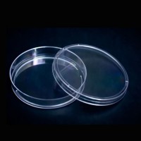 Qingdao Ama Laboratory Disposable PS Plastic Sterile Petri Dishes 35 60 65 70 75 90 100 150mm