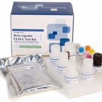 Biobase Elisa Kits HIV HCV Hbsag Hormone Rapid Test Kits and Reagents