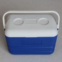 Outdoor Cooler Box-12L