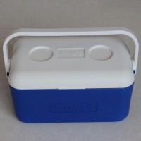 High Quality 9L Cooler Box