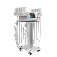 Multifunctional Cryolipolysis Lipo Laser Slimming Machine Cryo Lipolaser for Home Use