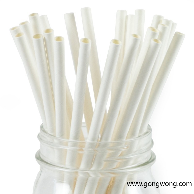 Paper straw -1