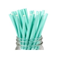 Biodegradable Drinking Paper Straws Factory Supply