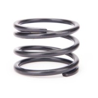 intake valve spring