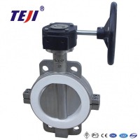 PTFE Lined Concentric Butterfly Valve